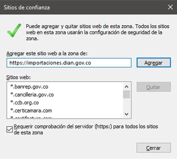 Página Importaciones DIAN en IE